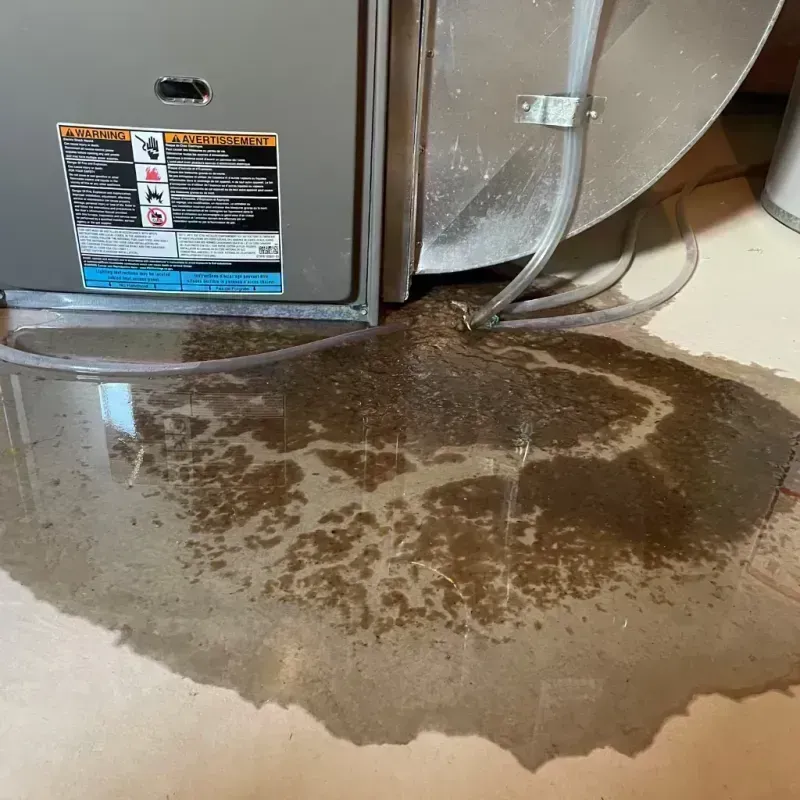 Appliance Leak Cleanup in Pinckneyville, IL